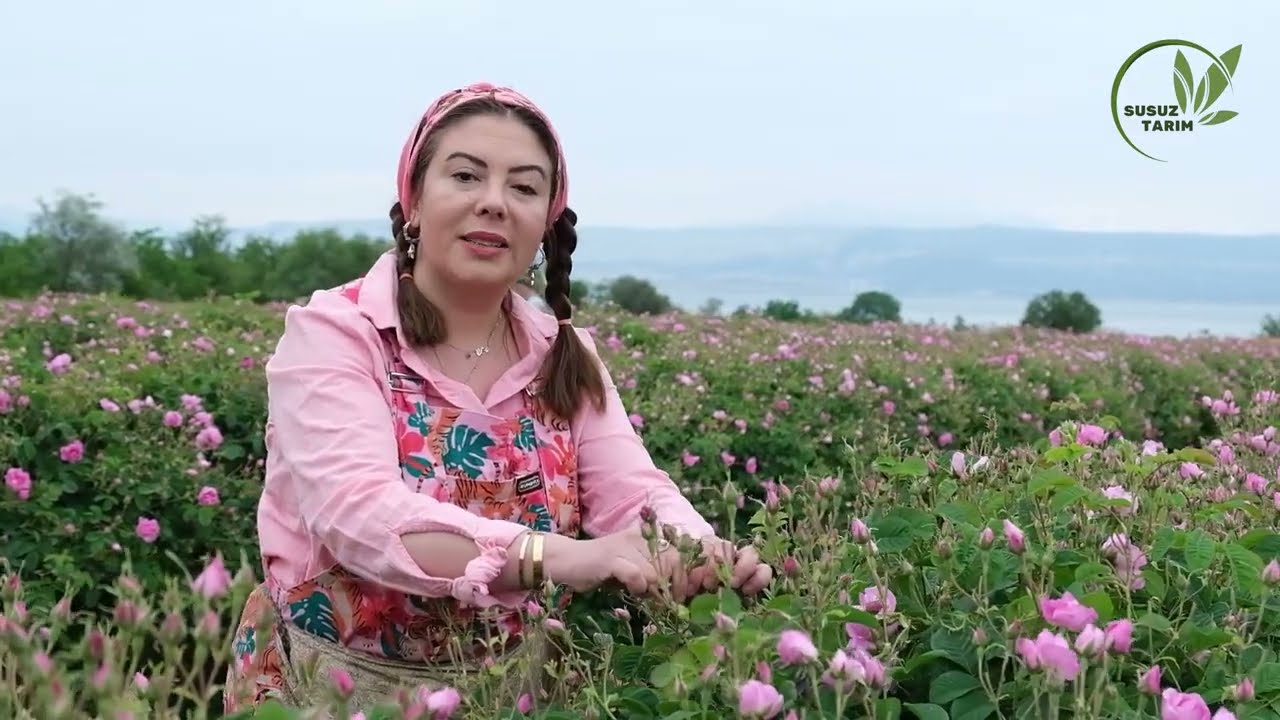 Kuraklık Karşıtı ''Susuz Tarım'' Belgesel Film