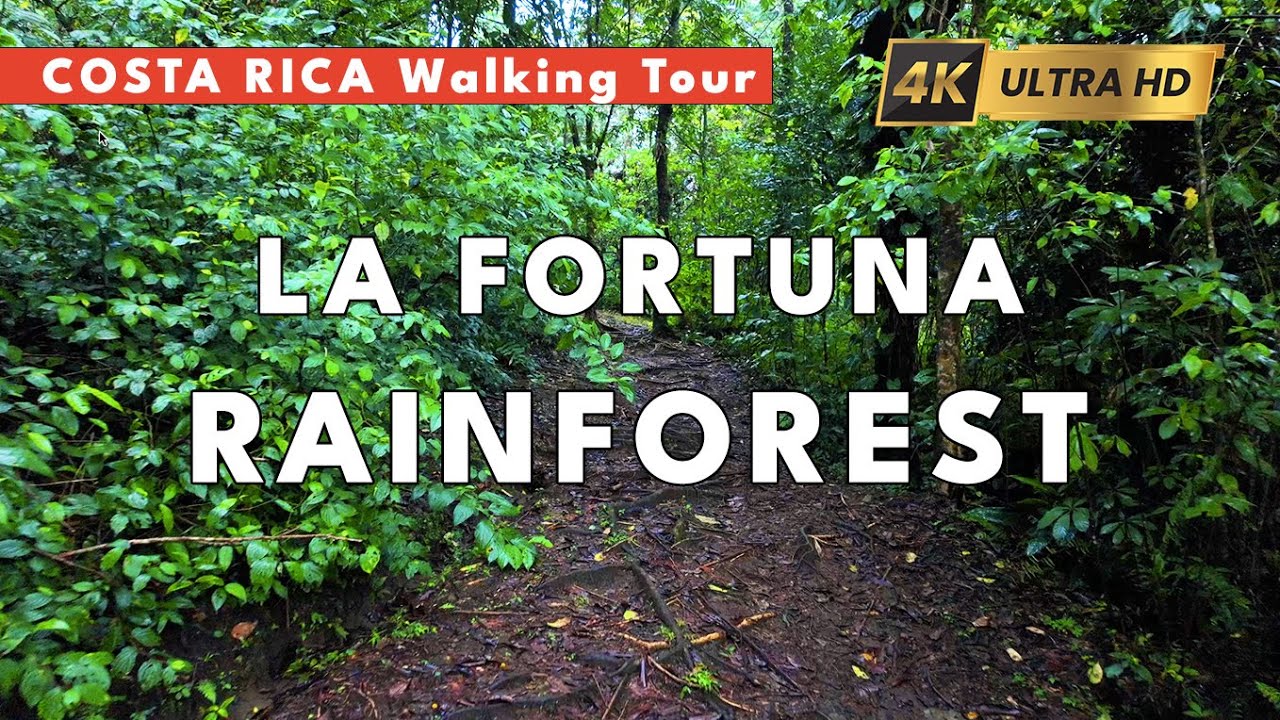 ADVENTUROUS WALKING TOUR IN COSTA RICA RAINFOREST [4K 60 fps]
