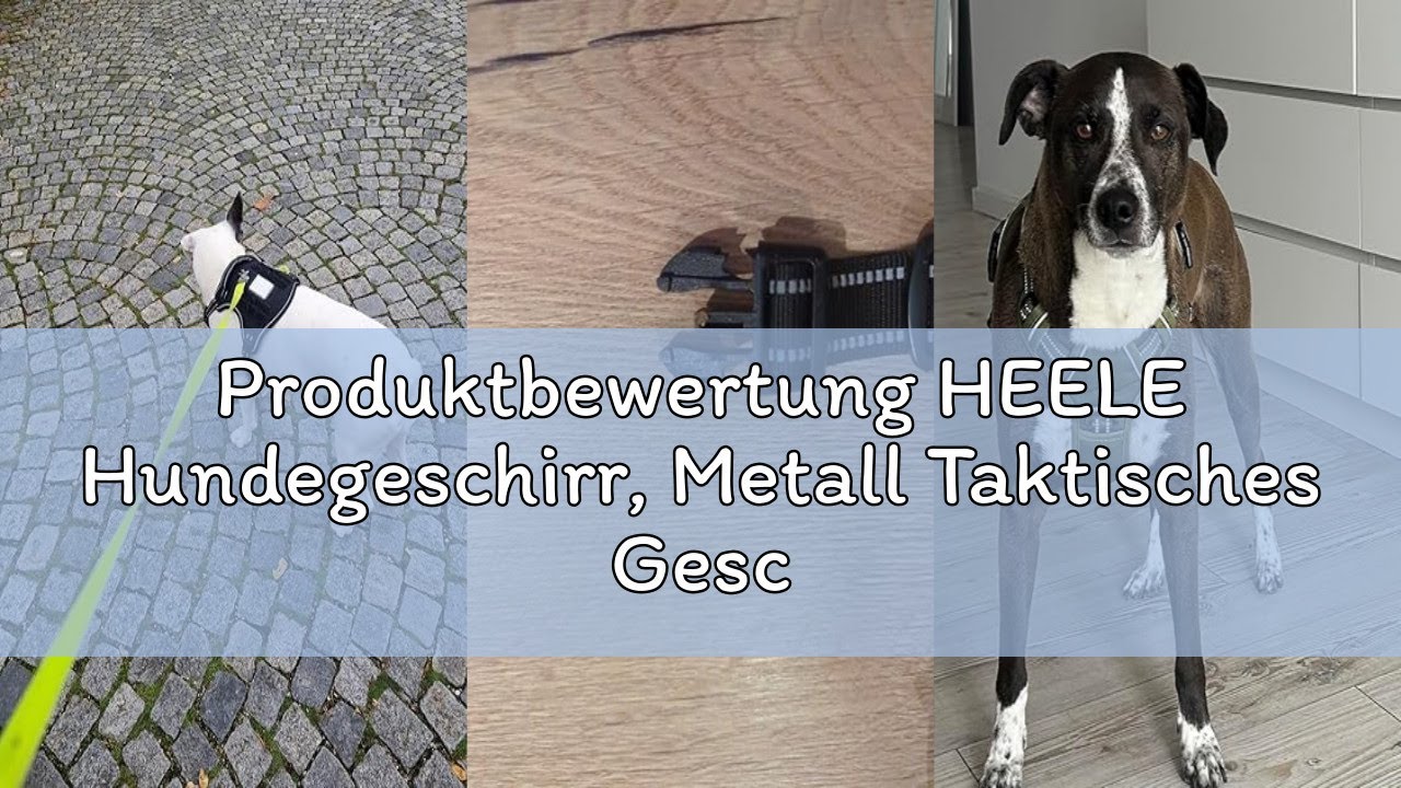 Produktbewertung HEELE Hundegeschirr, Metall Taktisches Geschirr, Taktische Hundeweste, Service Hund