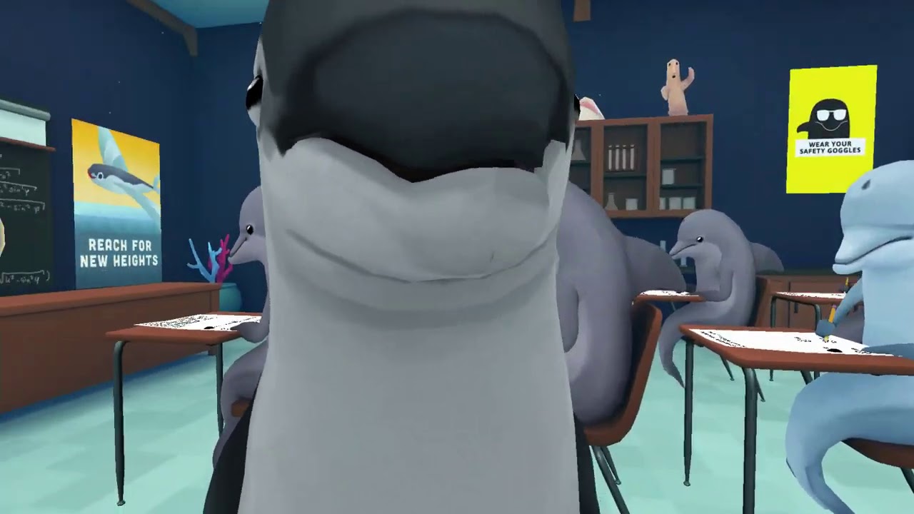 dolphin school