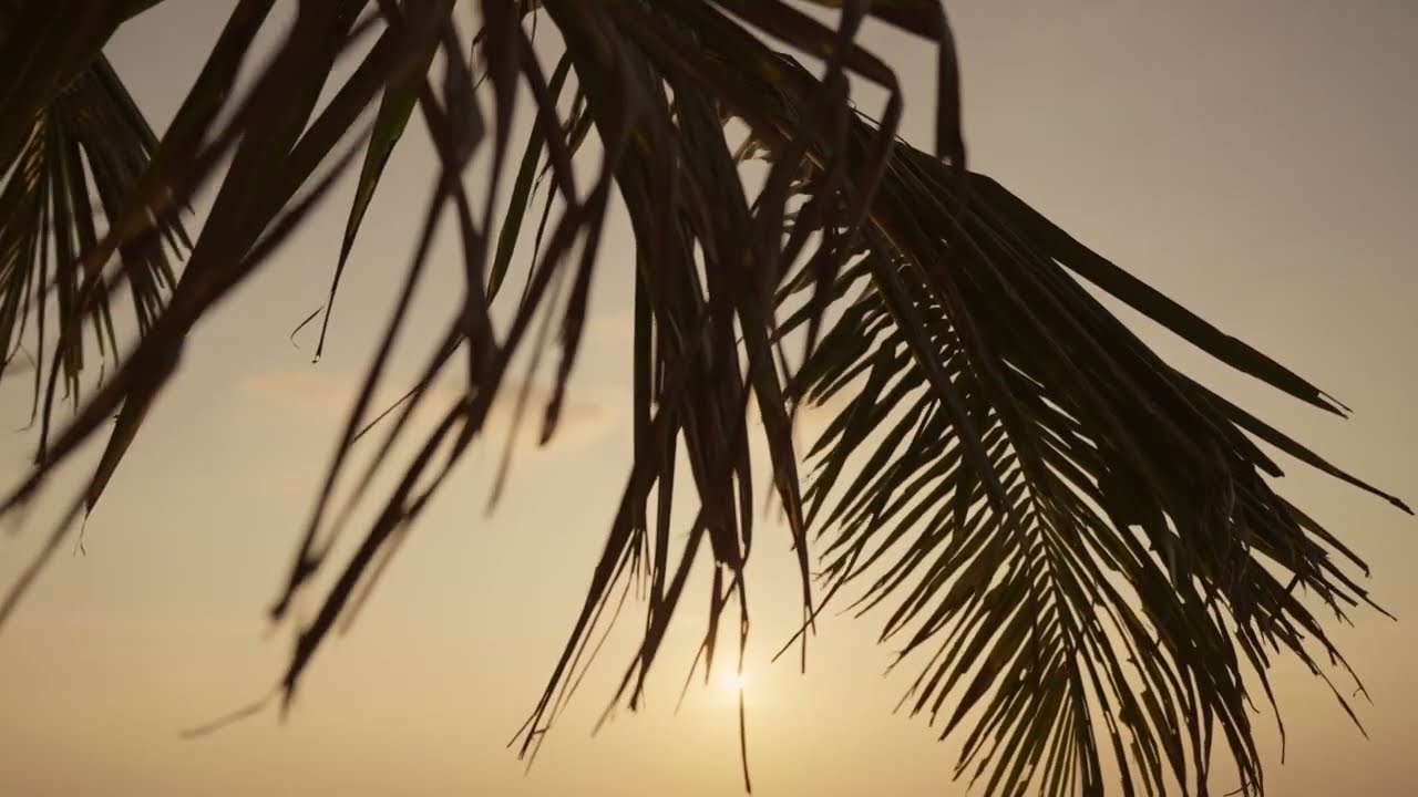 Montaña 7 at Villas Del Mar - Palmilla's best views in Cabo