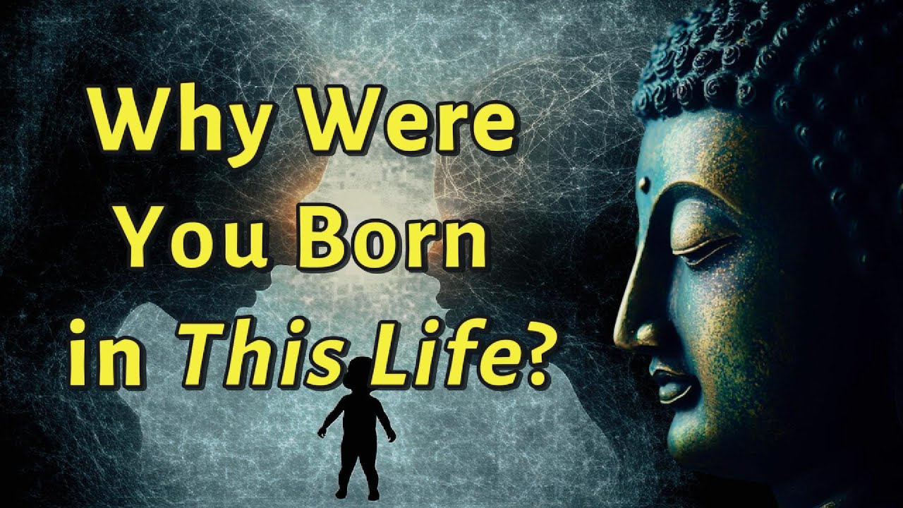 Why Were You Born in This Life? The Buddha&rsquo;s Answer