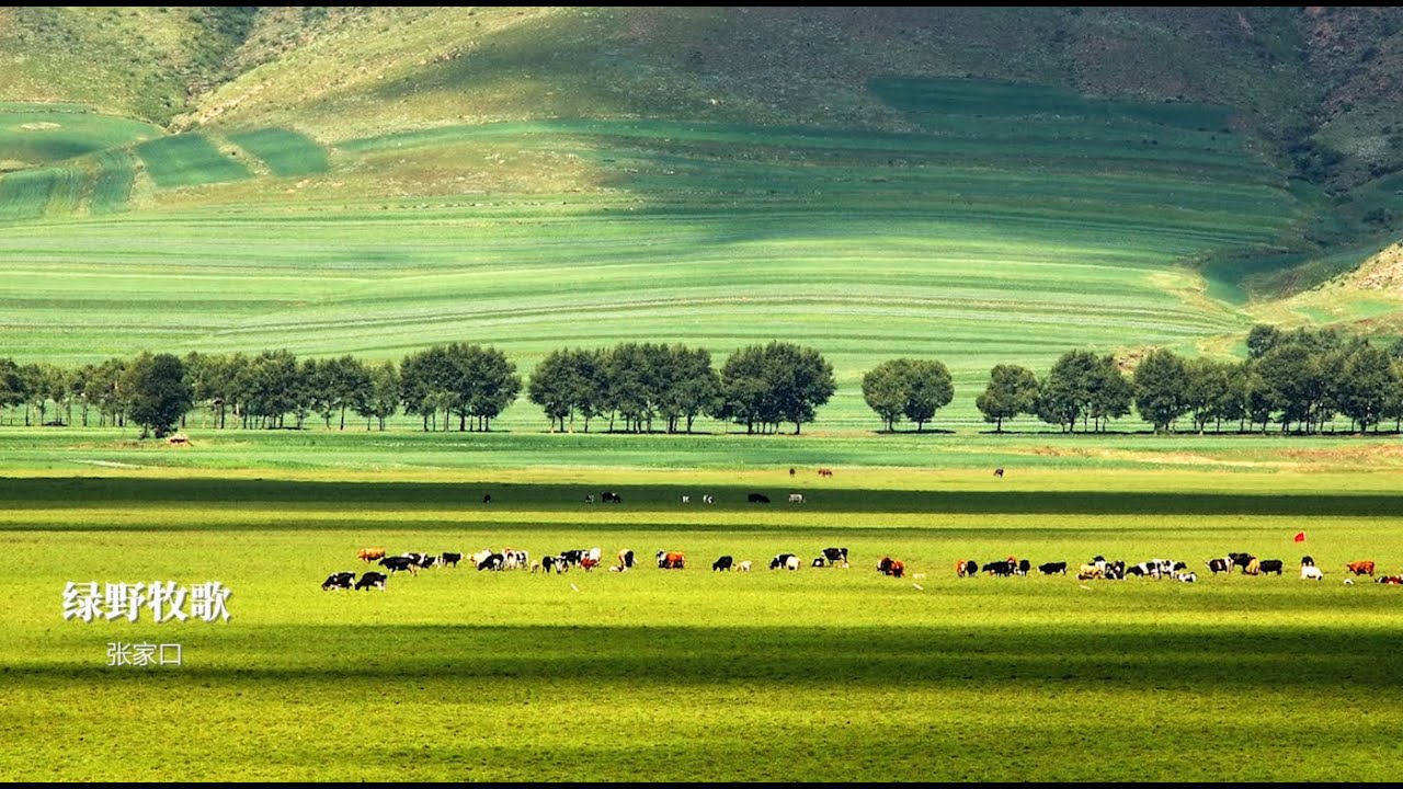 Beautiful Hebei 丨Ecological beauty