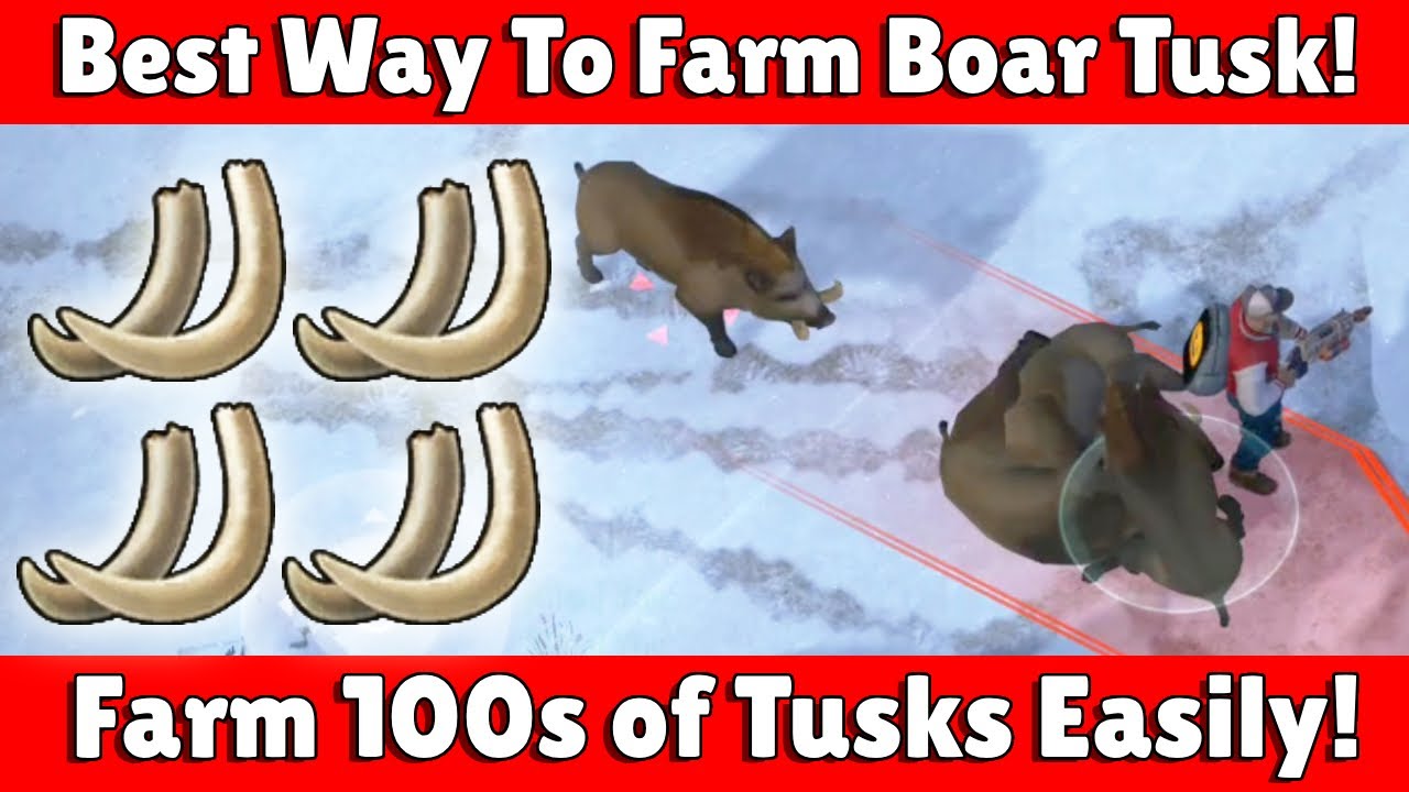 Best & Easiest Way To Farm 100's of Boar Tusk For Hunting Grounds Event In Last Day On Earth!