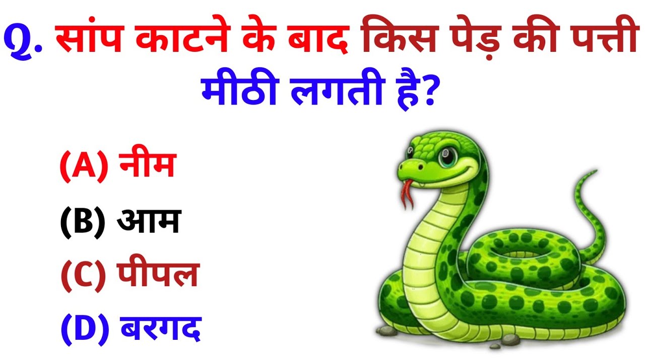 GK Question || GK in Hindi || GK Question and Answer || GK Quiz || Rochak Gk Quiz