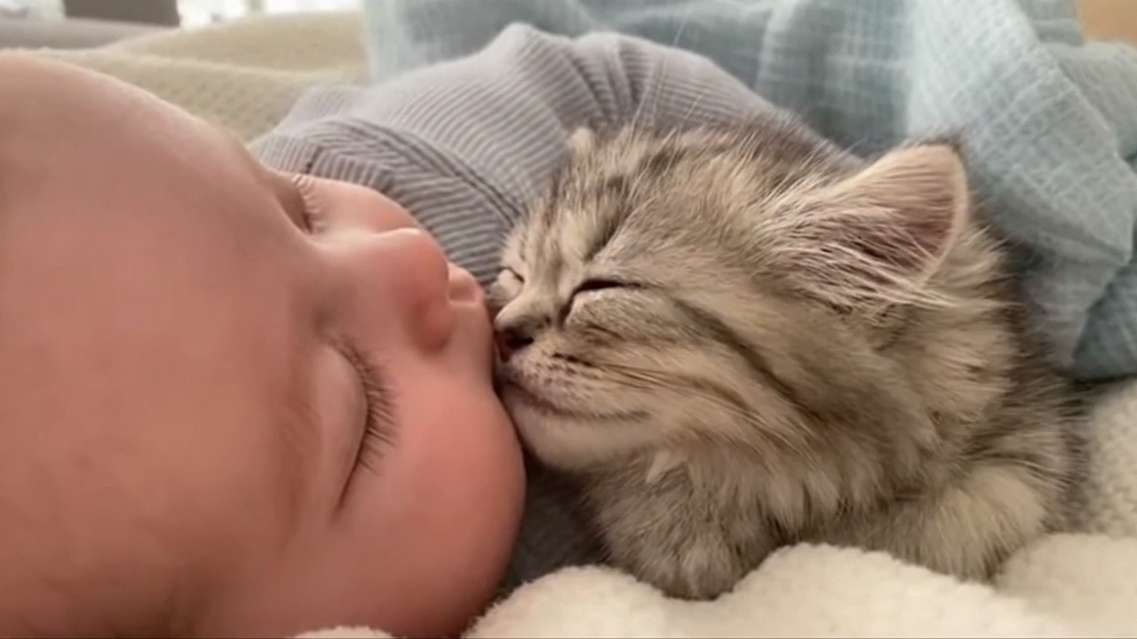 The Cutest Baby & Kitten Cuddles Ever Caught on Camera 🥹