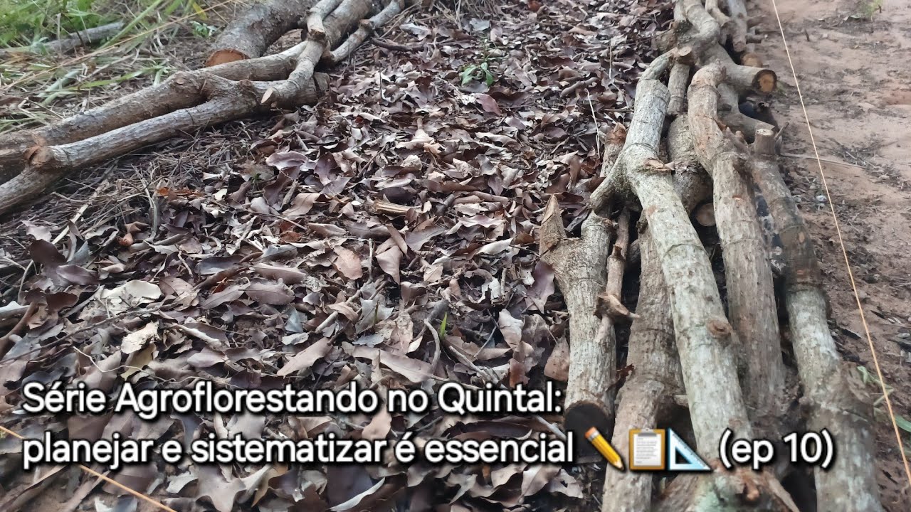 Série Agroflorestando no Quintal: planejar e sistematizar é essencial ✏️📋📐 (ep 10)