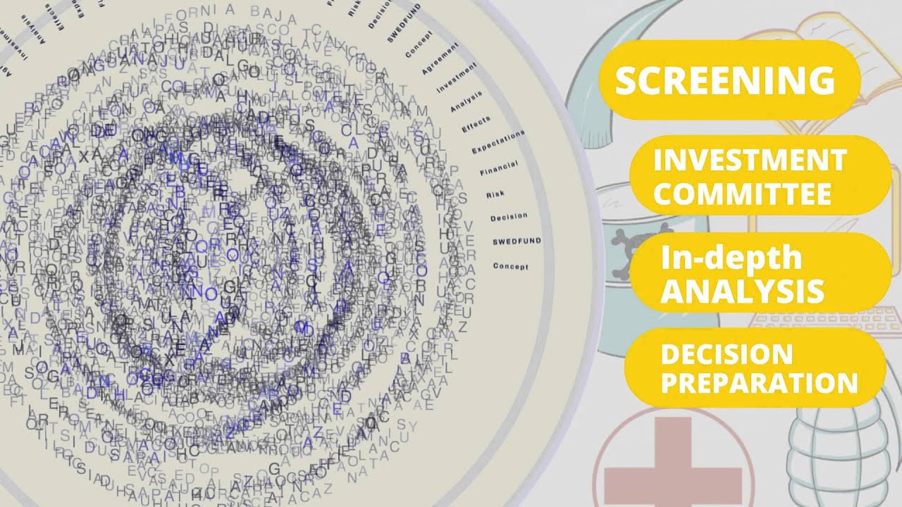 Swedfund's investment process