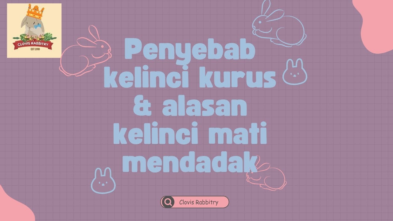 Penyebab Kelinci Kurus 🐇🌱