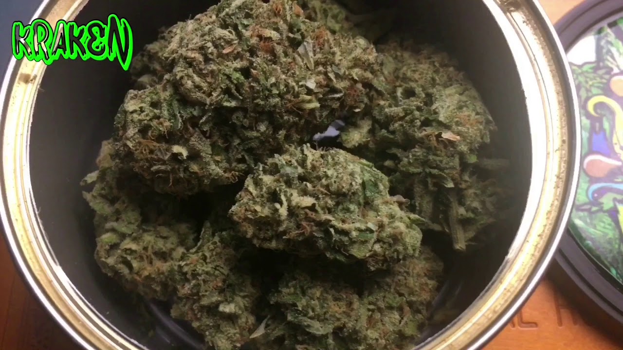 Kraken Strain