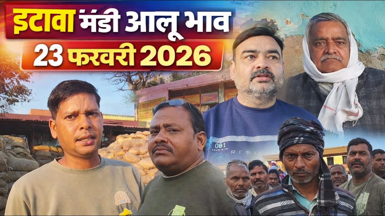 🔥 इटावा मंडी आलू भाव 23 फरवरी 2026 | आज का ताज़ा रेट 🔥