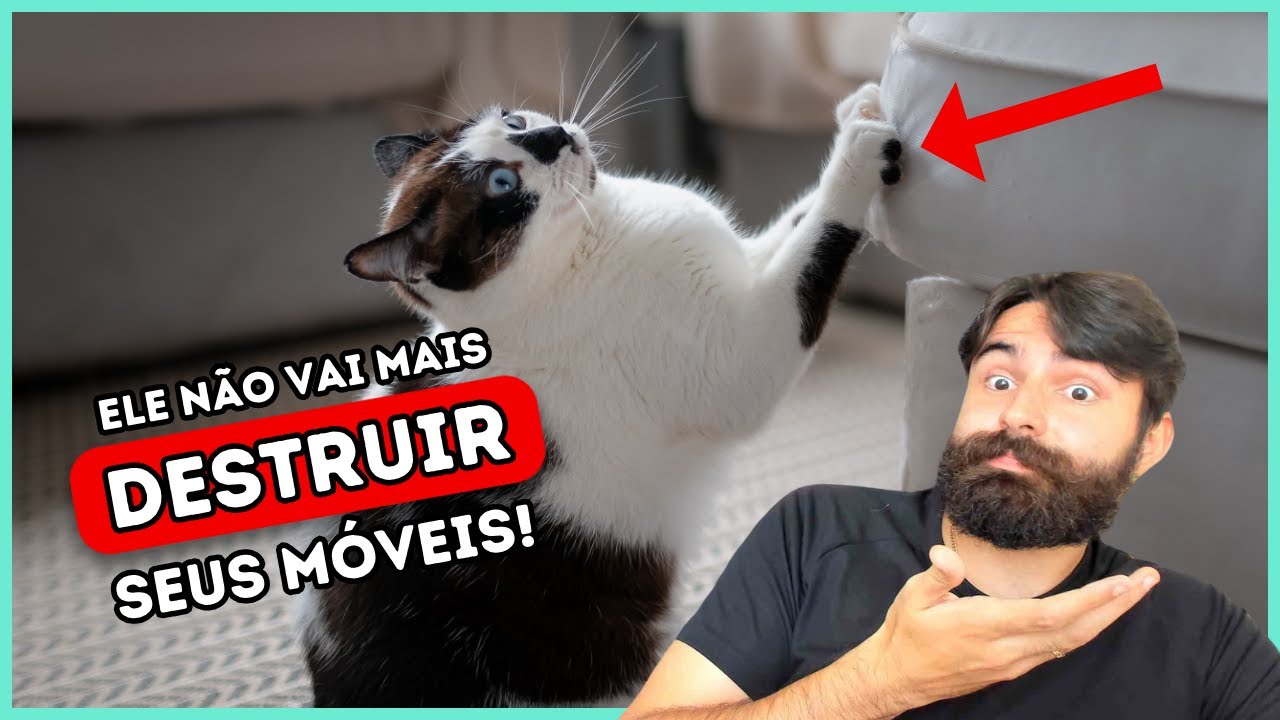 Como Fazer um Gato Parar de Arranhar os Móveis