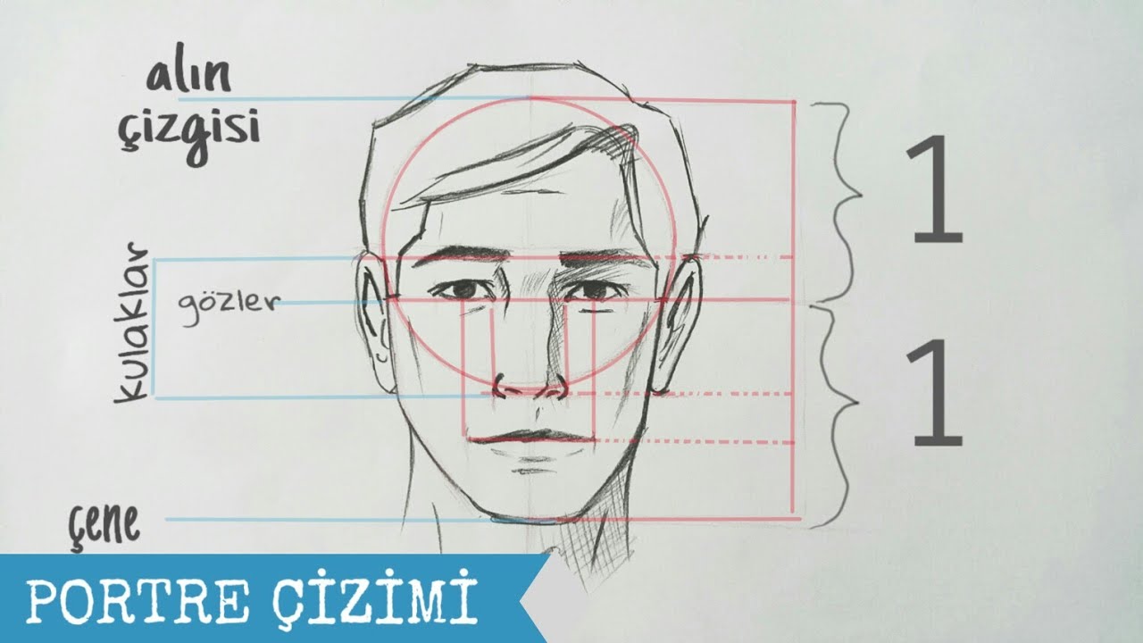 Çizim Ders 13 / Portre Nasıl Çizilir ?