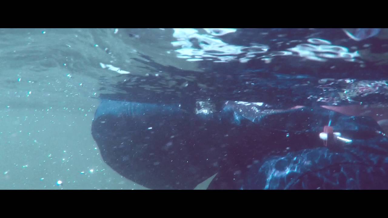 Ember Island x Radiohead - Creep