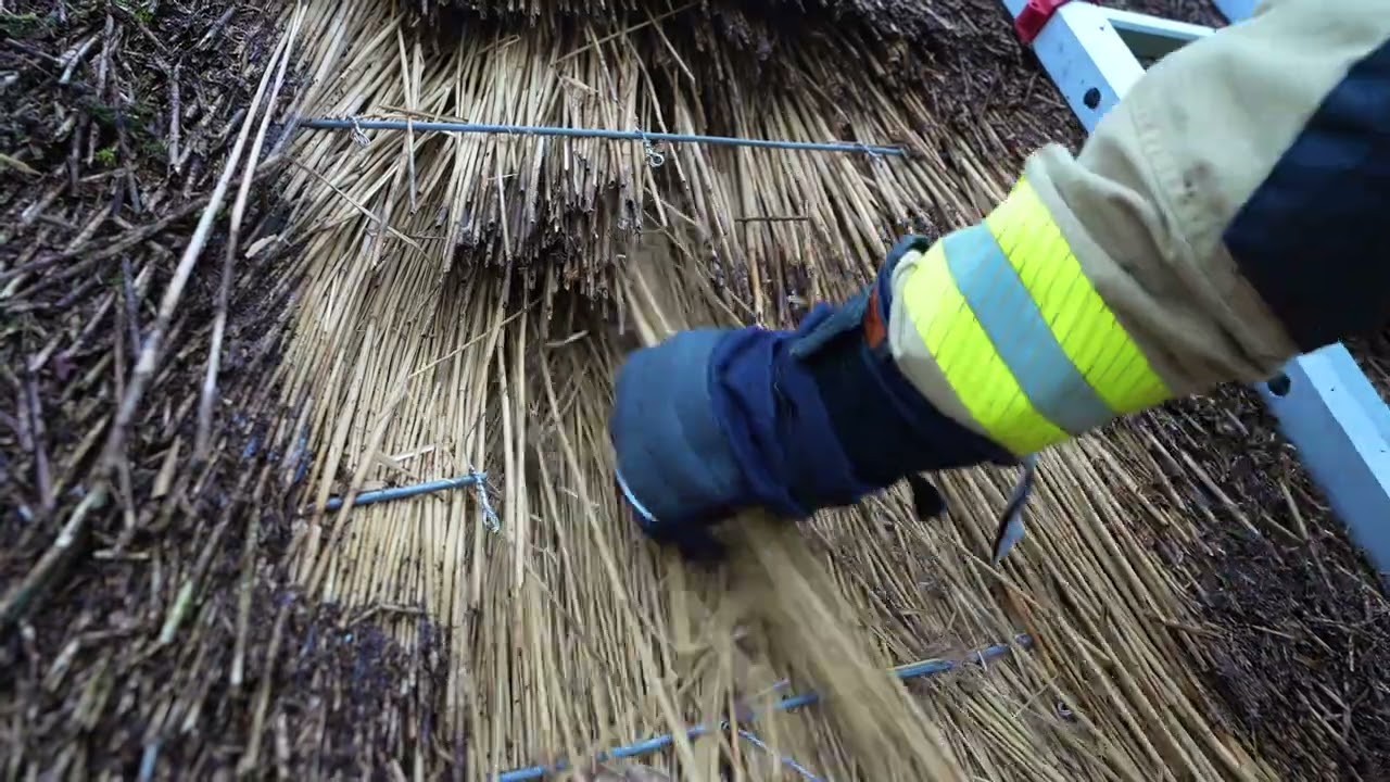 Verwijderen van riet