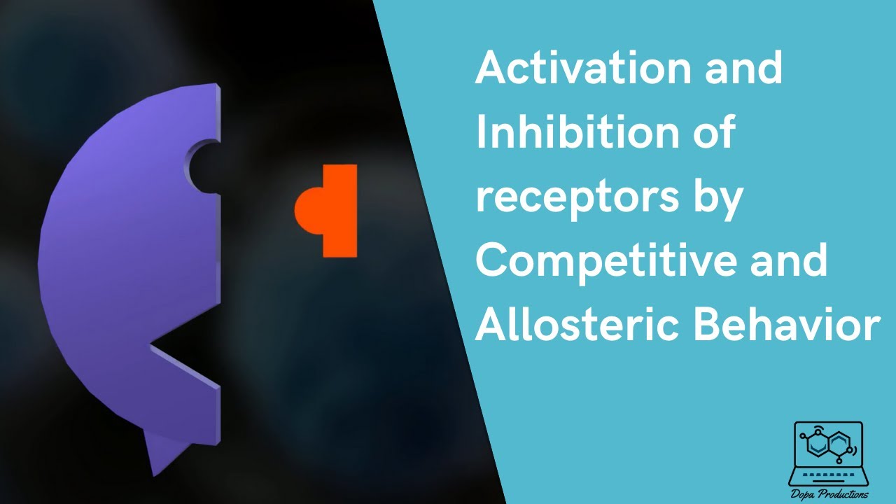 Activation and Inhibition of receptors by Competitive and Allosteric Behavior