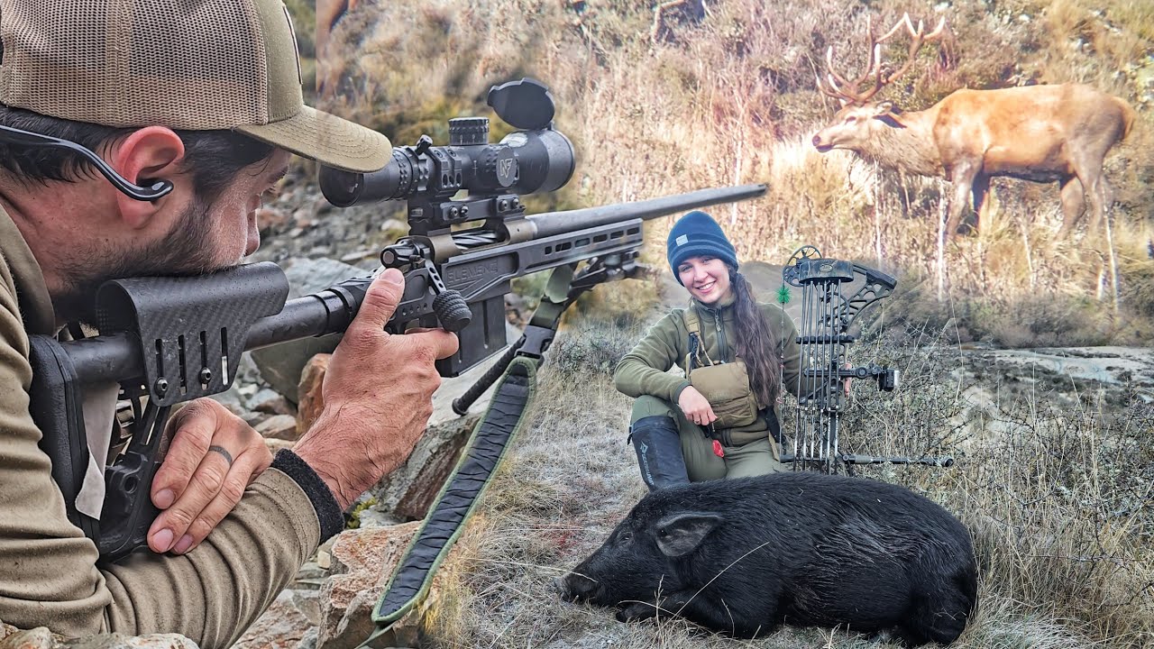 HUNTING Free Range New Zealand RED STAGS