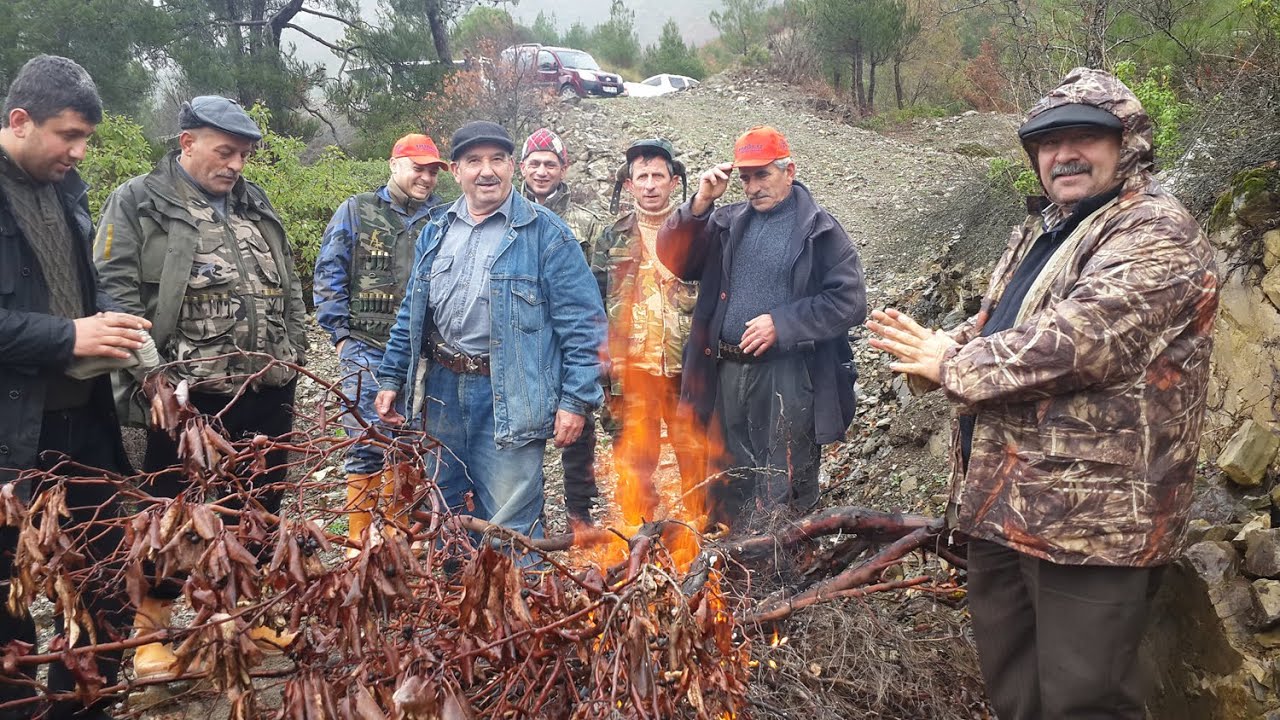 BAFRALI AVCILARIN DOMUZ SÜREK AVI KÖY TV'DE VERİMLİ TOPRAKLARIMIZ PROGRAMINDA İZLEYİNİZ