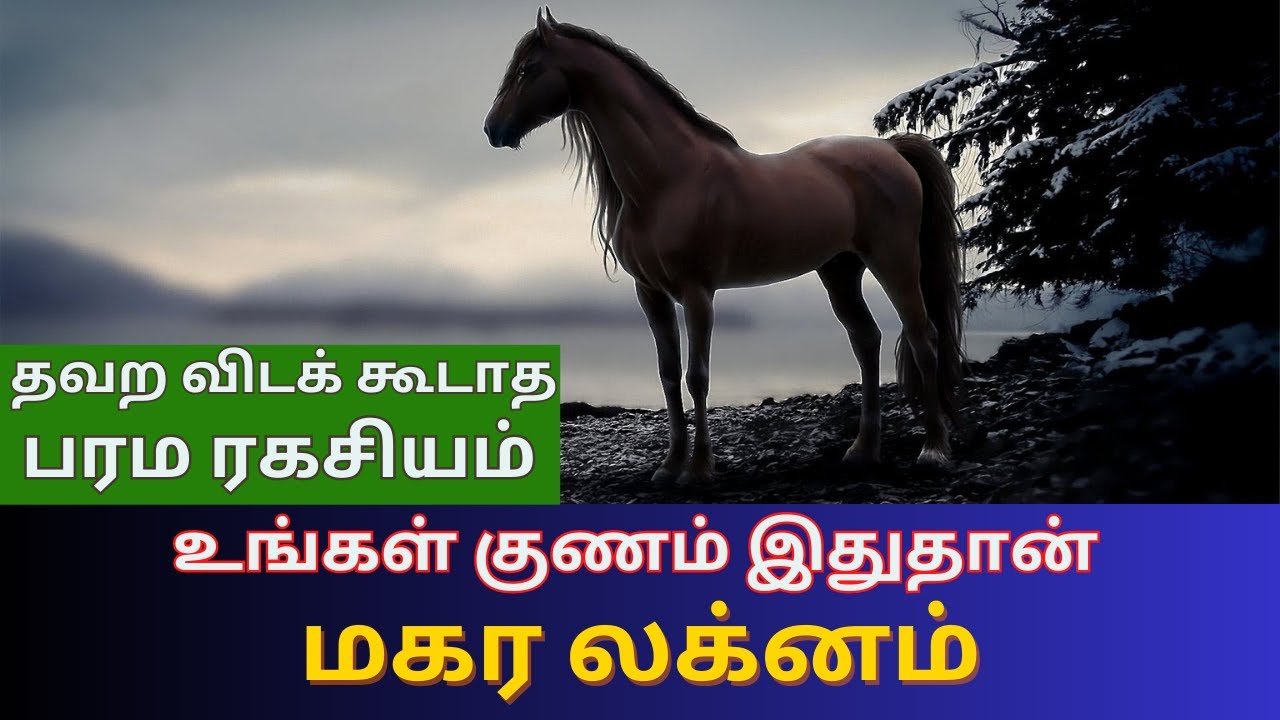 மகர லக்னம் | உங்கள் குணம் இதுதான் | தவற விடக் கூடாத பரம ரகசியம் | Magara lagnam | Astrology