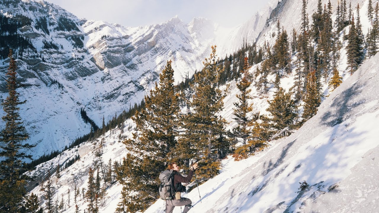 Winter In The Rocky Mountains
