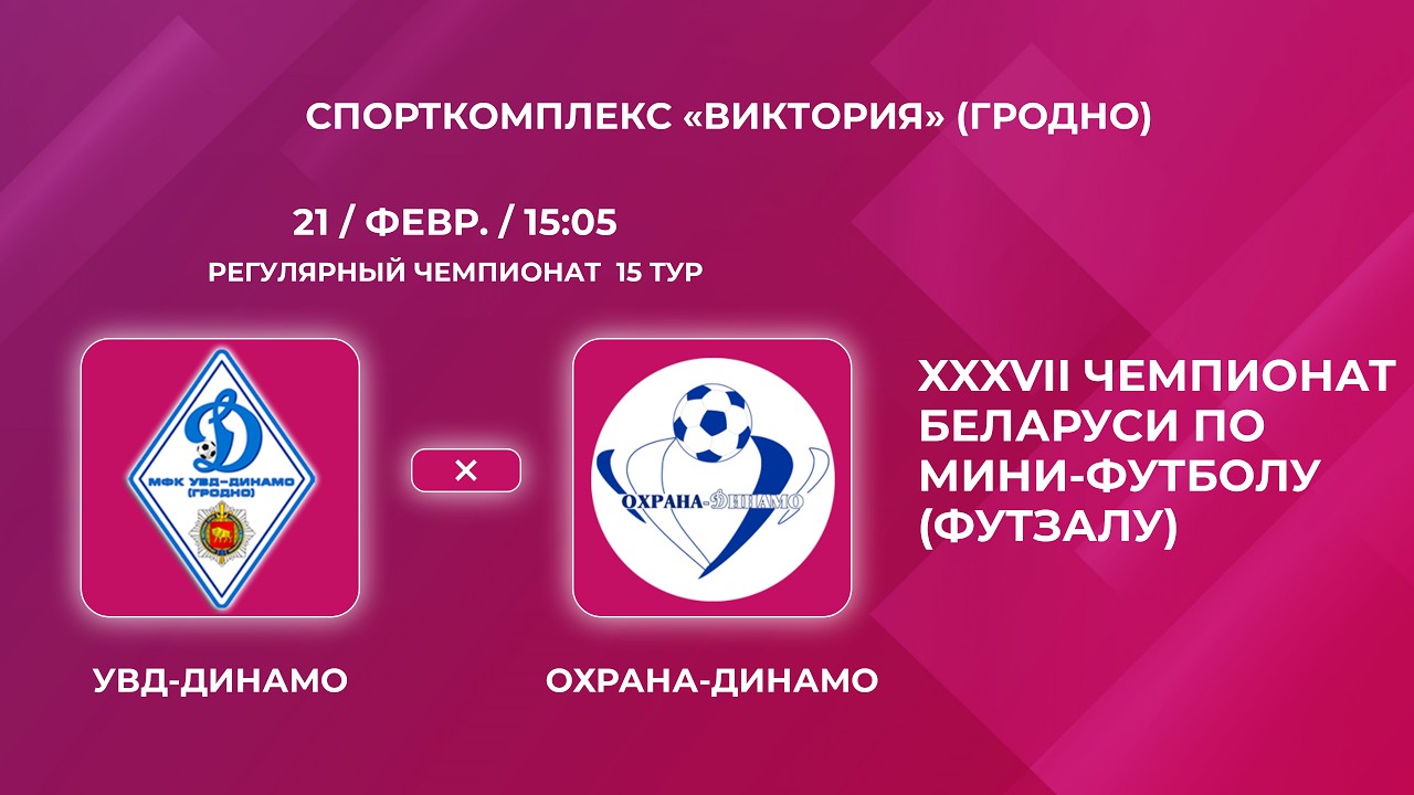 Футзал. Высшая лига. «УВД-Динамо-Охрана-Динамо» Прямая Трансляция