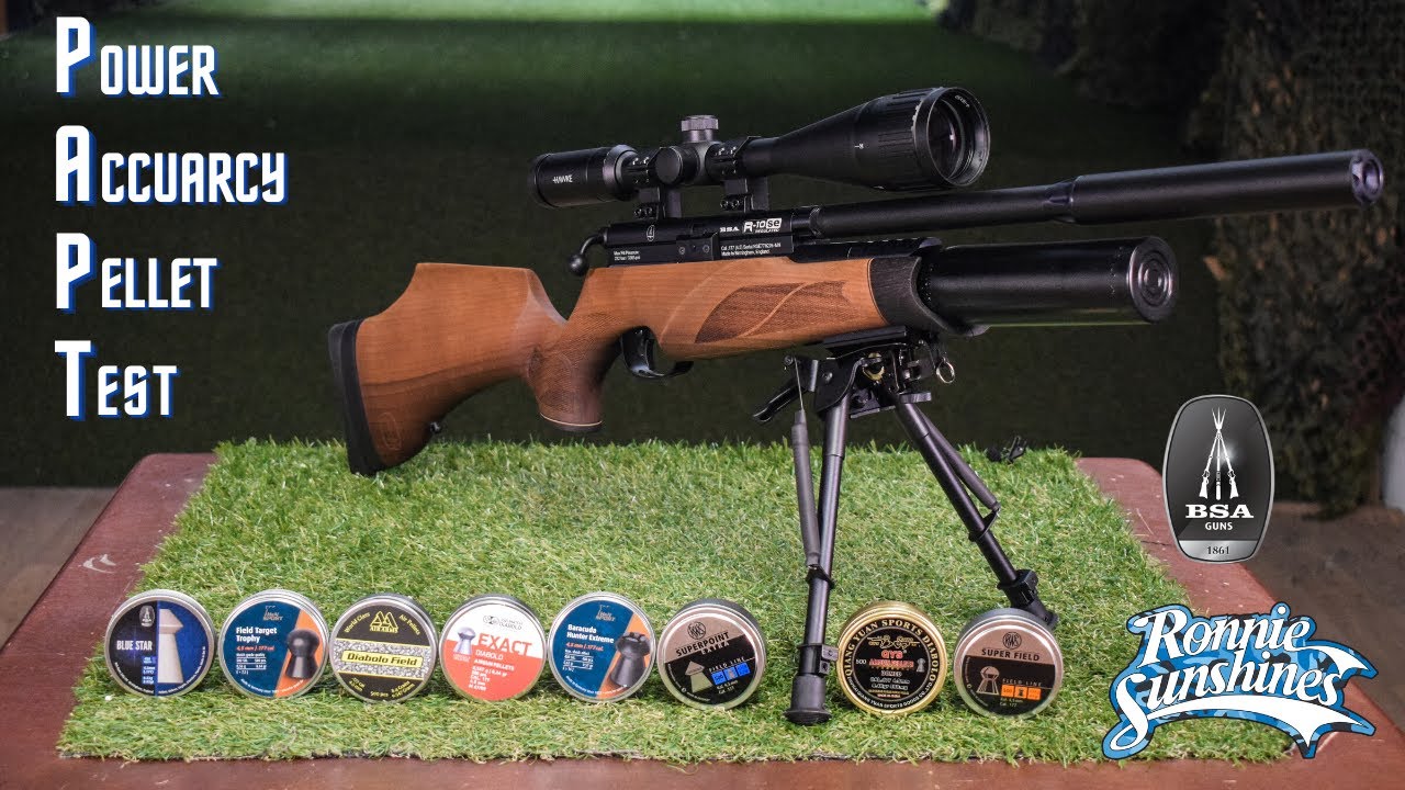 BSA R-10 SE Power, Accuracy and Pellet Test | Ronnie Sunshines