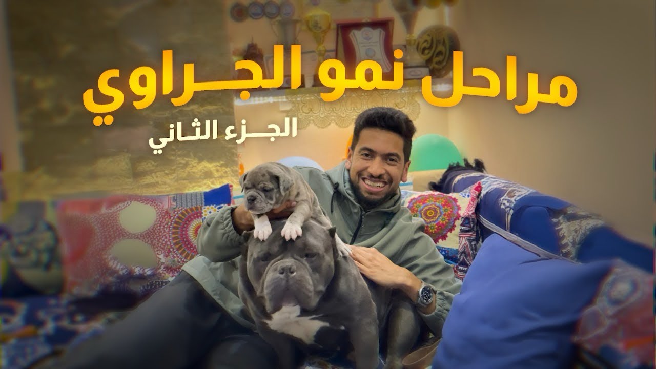 مراحل نمو الجراوى الميريل من عمر ٢١يوم حتى عمر  ٣٥يوم