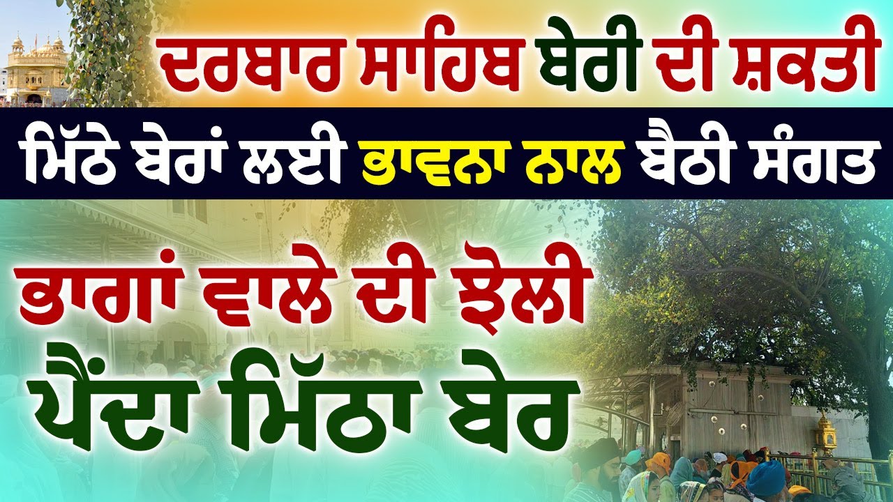 Beri Sahib ਦੇ ਮਿੱਠੇ ਬੇਰਾਂ ਦੀ ਸ਼ਕਤੀ | ਭਾਵਨਾਂ ਵਾਲੇ ਦੀ ਹਰ ਸ਼ੁਭ ਕਾਮਨਾ ਪੂਰੀ ਹੁੰਦੀ | Darbar Sahib Amritsar