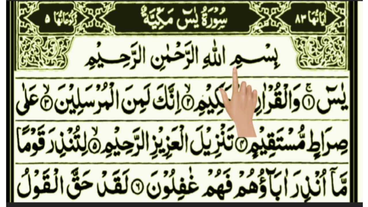 Listen Surah Yaseen Full 🌙 Heart Touching Quran Recitation | سورہ یٰسین مکمل تلاوت سکون دل کے لیے