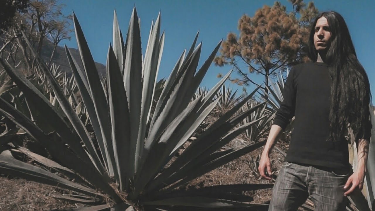 Así se prepara el MEZCAL en Oaxaca | ITURBIDE