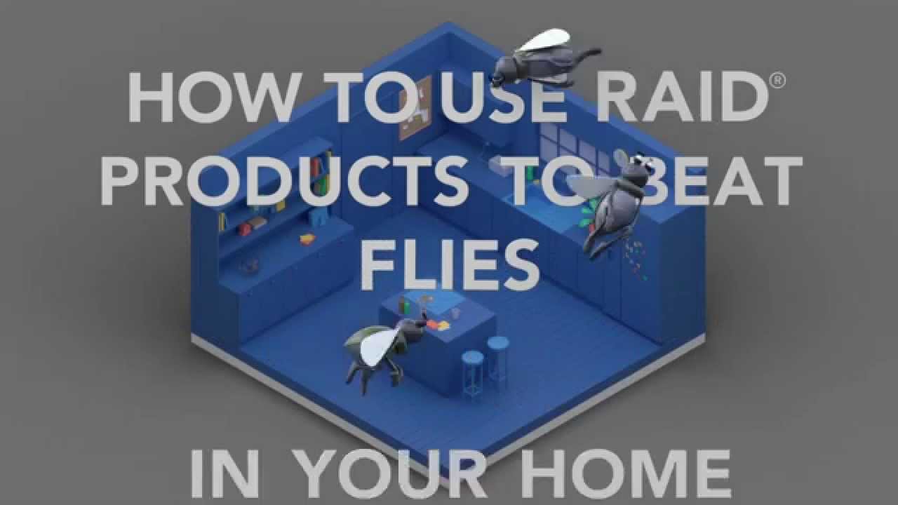 United States - How To Use Raid® Products to Beat Flies In Your Home