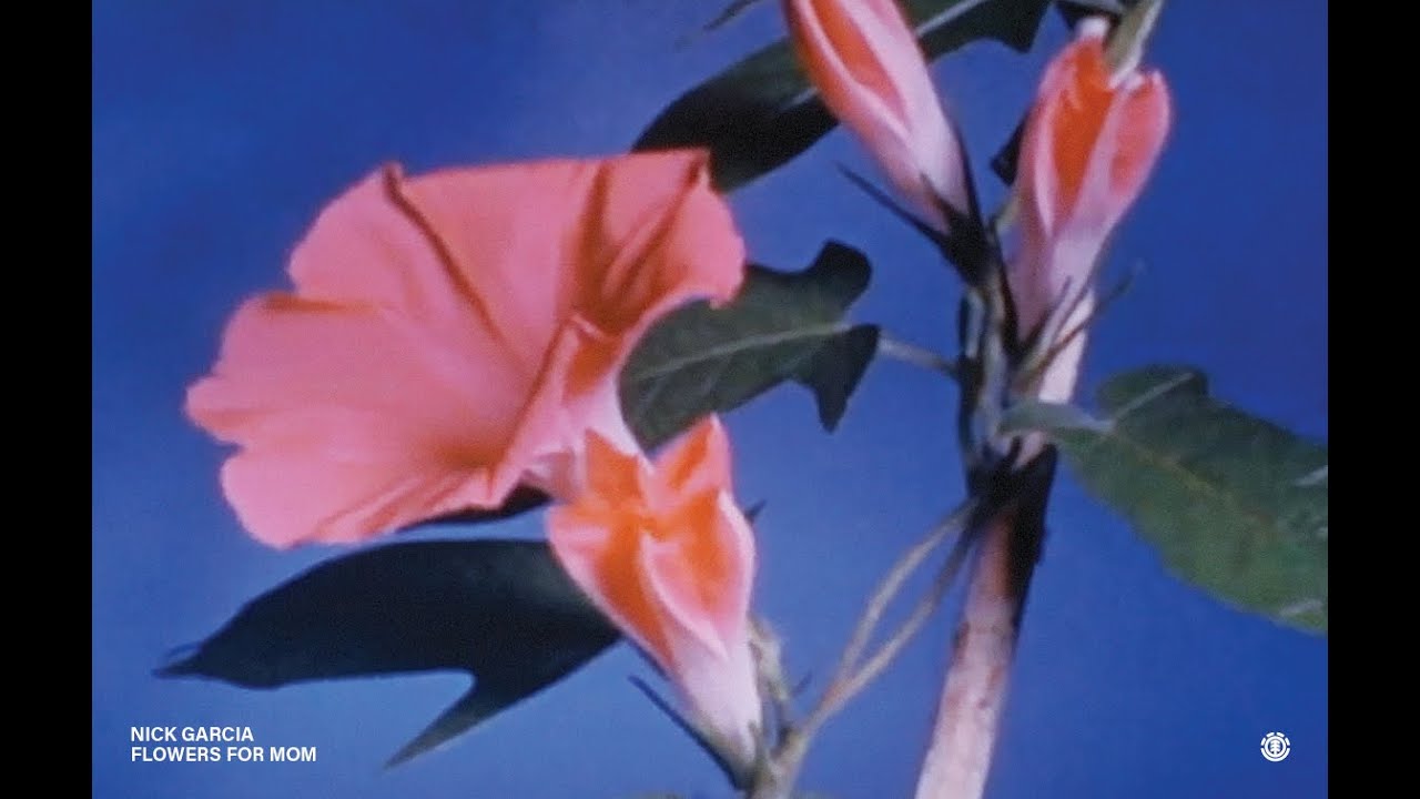 NICK GARCIA FLOWERS FOR MOM