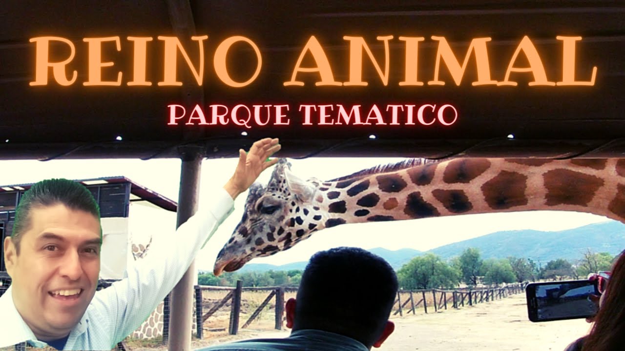 Que hacer en REINO ANIMAL | Andrei Mapa