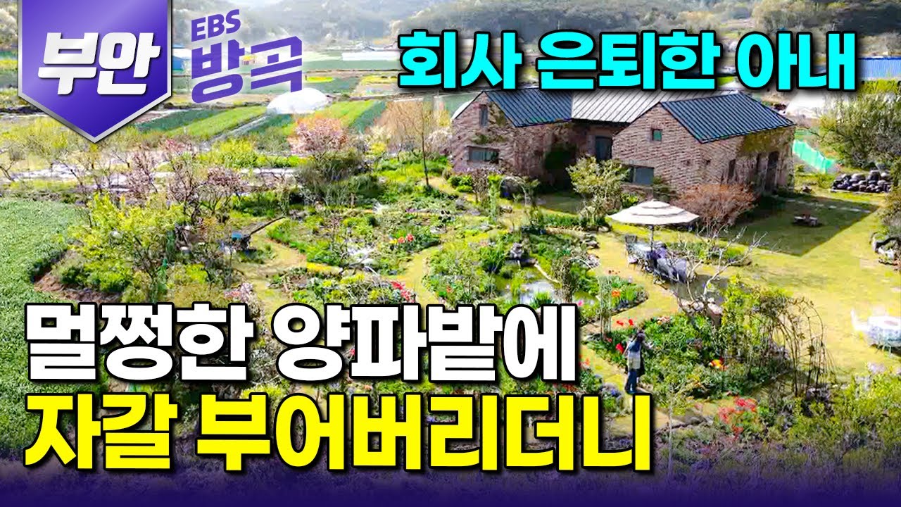 [전북 부안] 