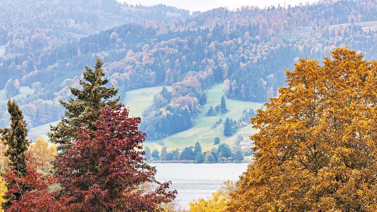 Exklusives Penthouse mit Seeblick und Erstwohnsitzwidmung in Zell am Moos am Irrsee