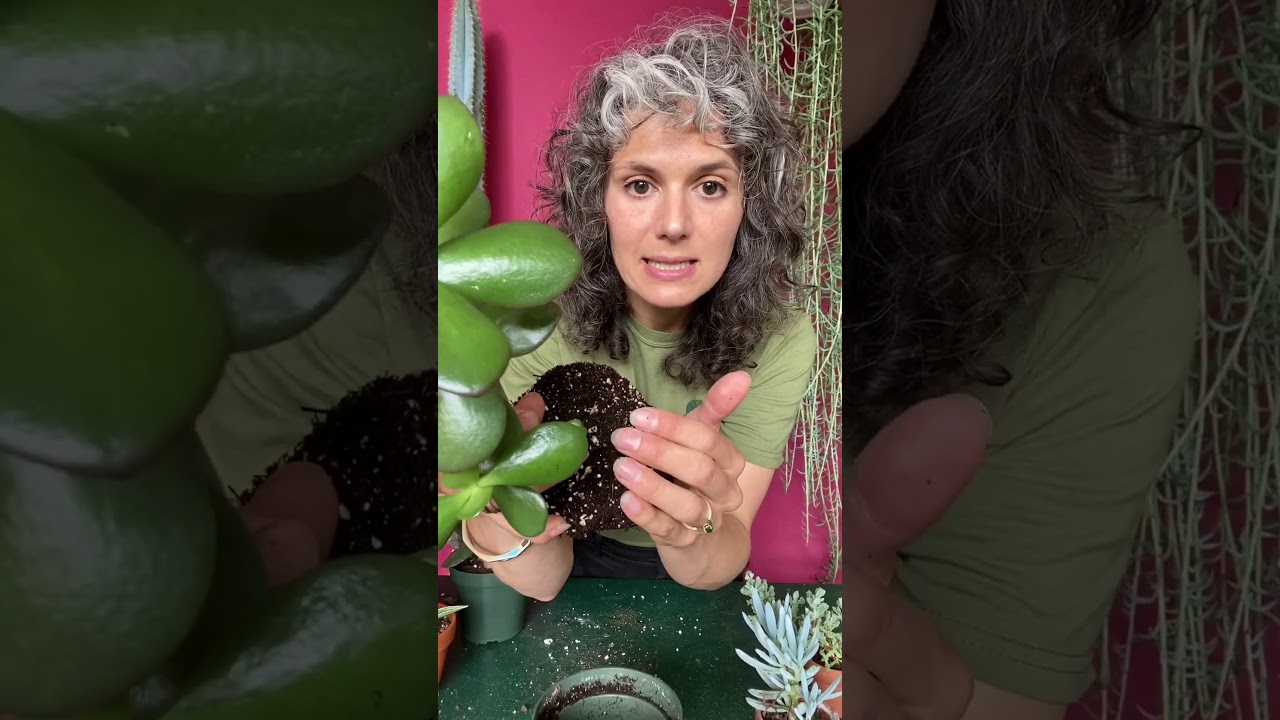 Plant Session 9  Watering arid plants