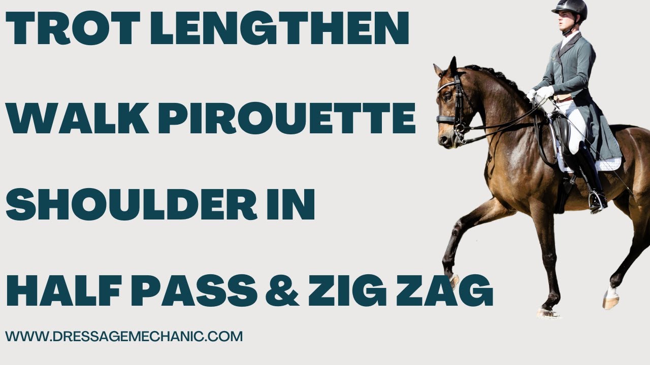 Dressage mechanics for the shoulder in, trot half pass, walk pirouette and canter zig zag