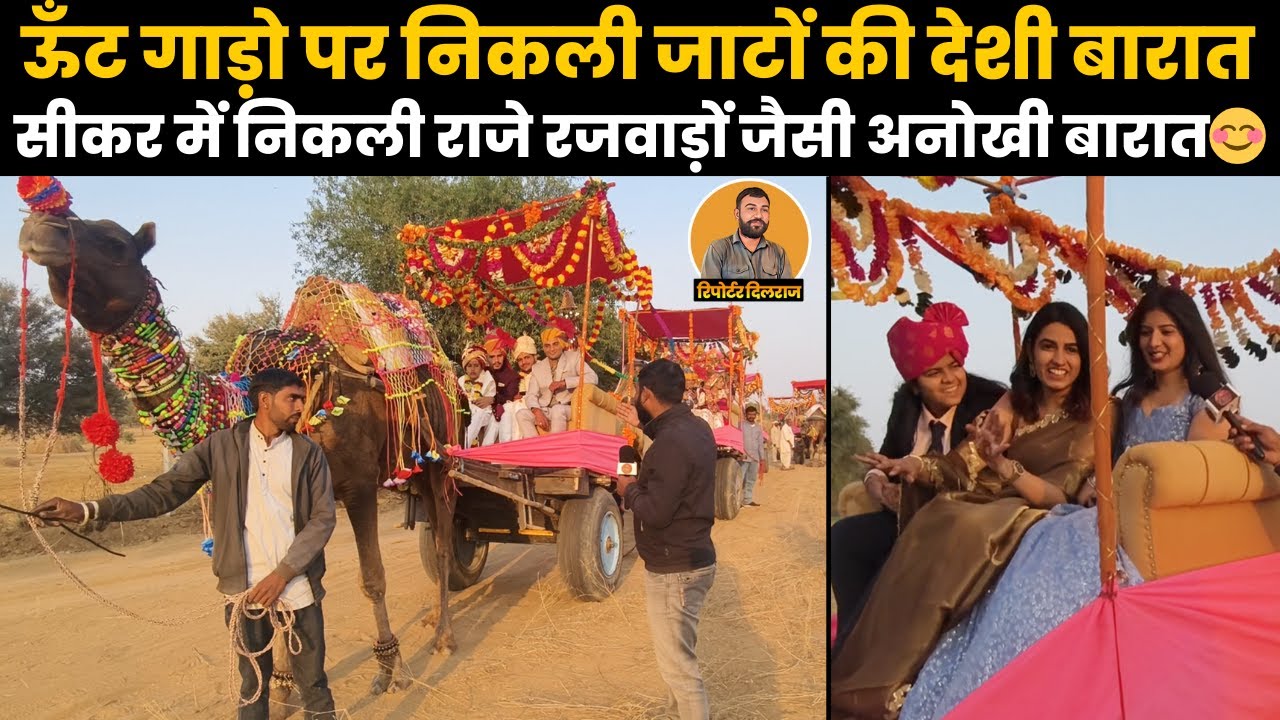 ऊंट गाड़ो पर निकली जाटों की देसी बारात,देखें क्या बोले दुल्हे के दादा-चाचा और पिता~