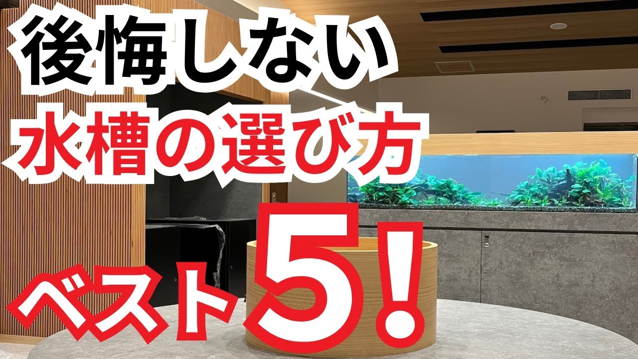 自宅におしゃれな水槽を置くならこれで決まり! 【プロが選ぶ水槽ベスト5!】