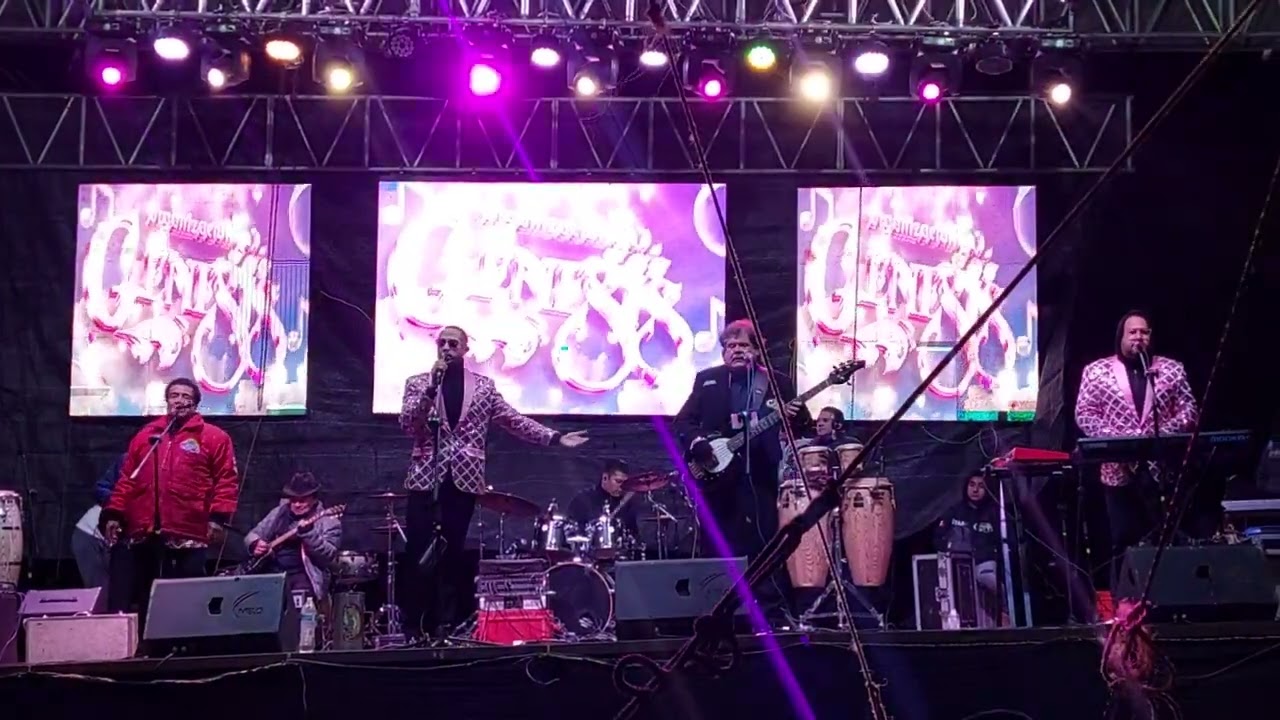 Organización  Genesis 111225 