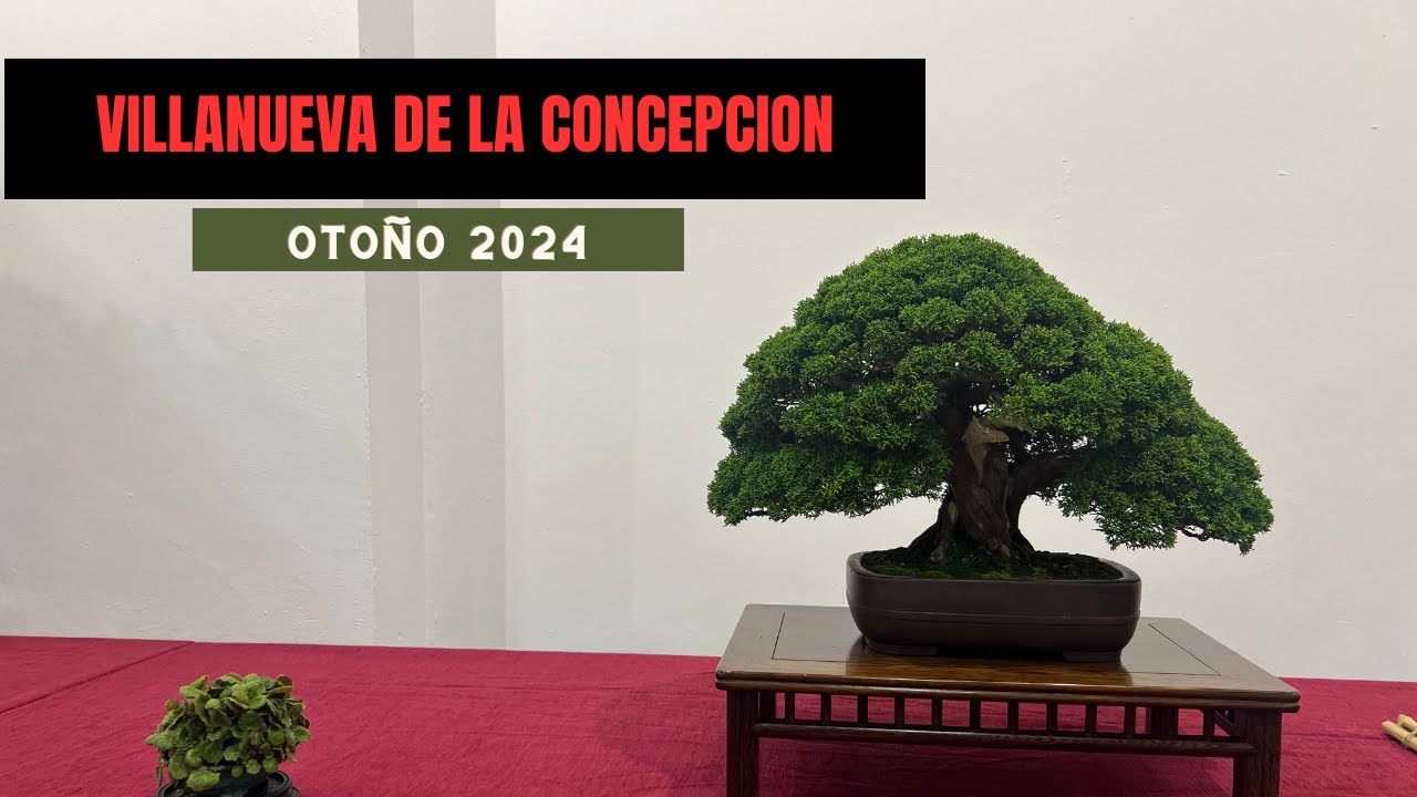 Exposición Otoño Villanueva de la Concepción 2024
