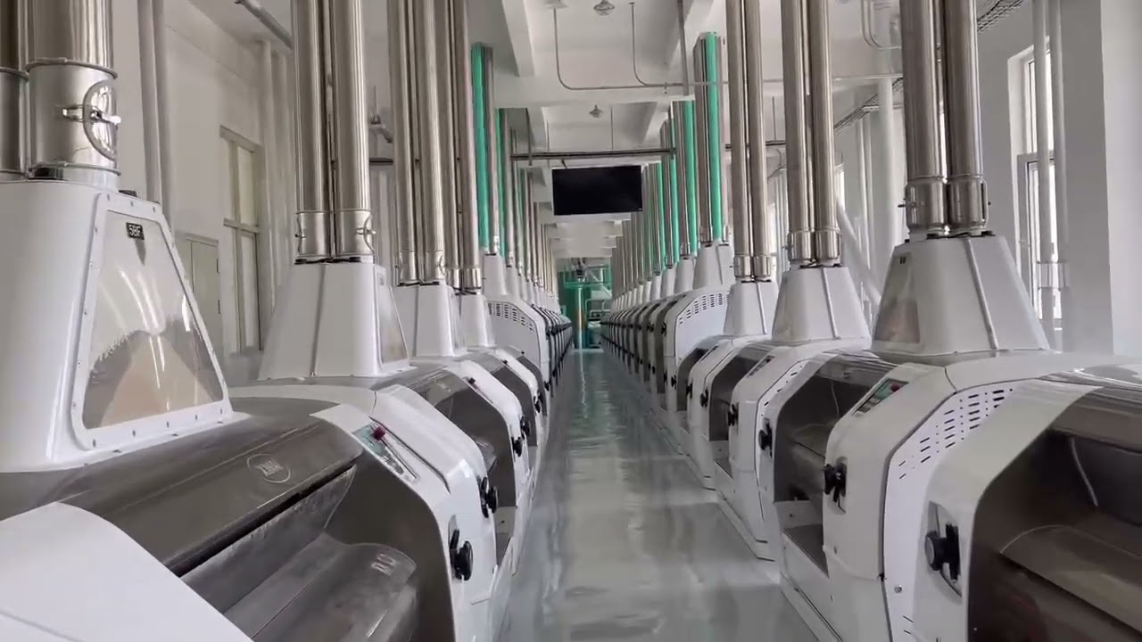 600 tons per a day wheat flour mill line complete in China by our team.