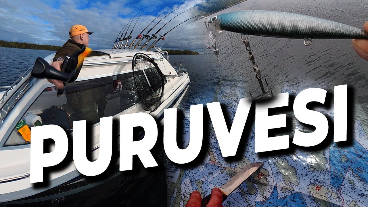 NYT ON PAINETTA! | PURUVEDEN PUNALIHASIA