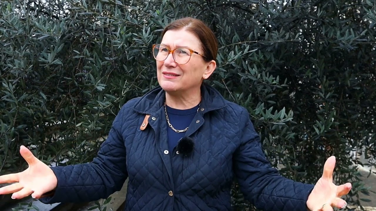 Roskoveci, "Kryeqyteti" i vajit të ullirit në Shqipëri