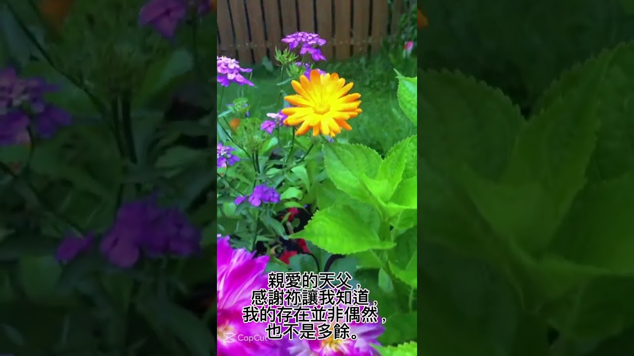 聖靈所結的果子良善，以弗所書