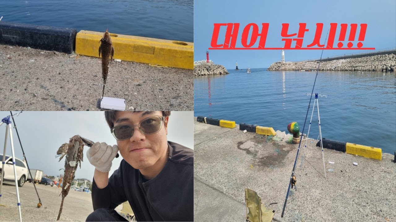 경주 감포항에서 대어 HIT! 지렁이 한 마리에 이런 괴물이!!!