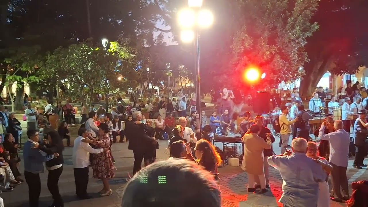 #oaxaca #viralvideo