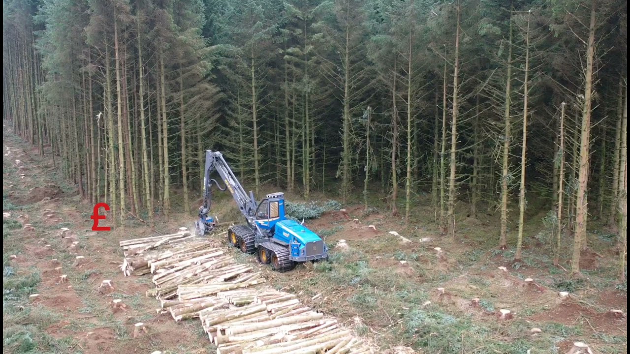 rottne H21d in Scotland