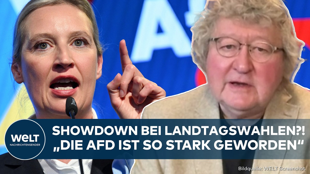 AFD: Showdown bei Landtagswahlen? Patzelt sieht strukturelle Stärke der Partei