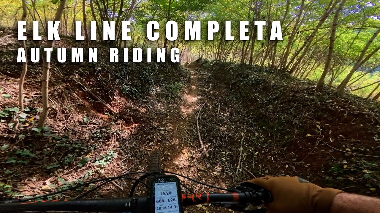 MTB DH Full Elk Line Trail | Autumn riding | Insta360 ACE PRO 2